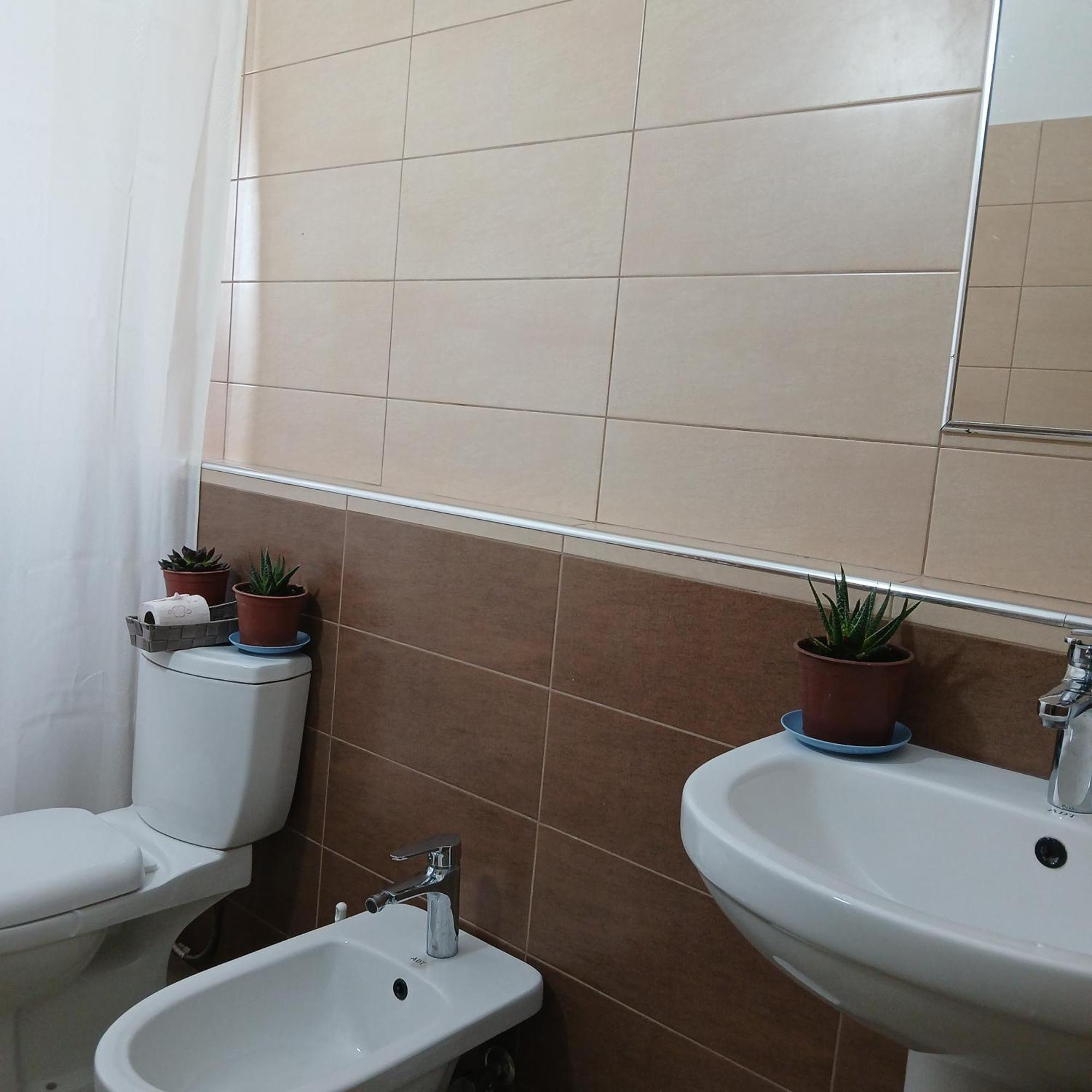 Villa Oasis Berat Rom bilde